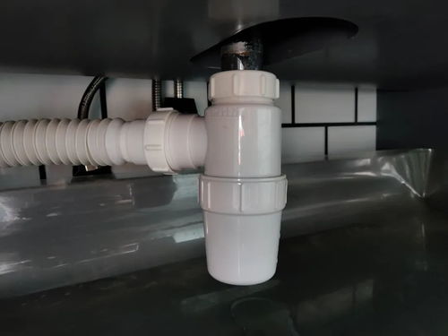 馬桶反味怎么辦 找出原因對癥下藥 也許倒點水就好了